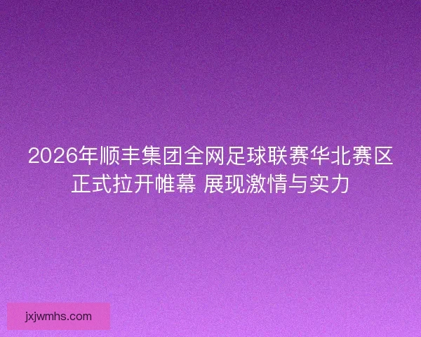 2026年顺丰集团全网足球联赛华北赛区正式拉开帷幕 展现激情与实力