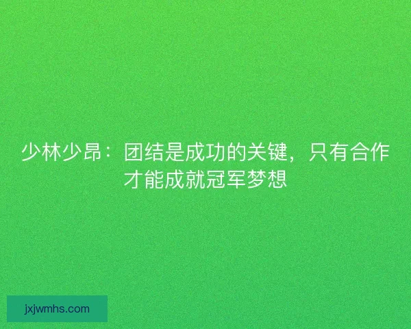 少林少昂：团结是成功的关键，只有合作才能成就冠军梦想